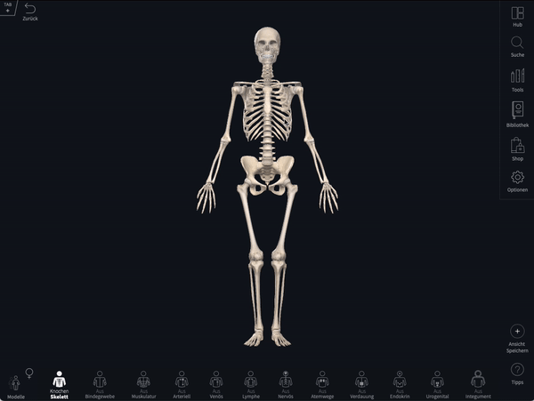 Bildschirm „Mein Konto“